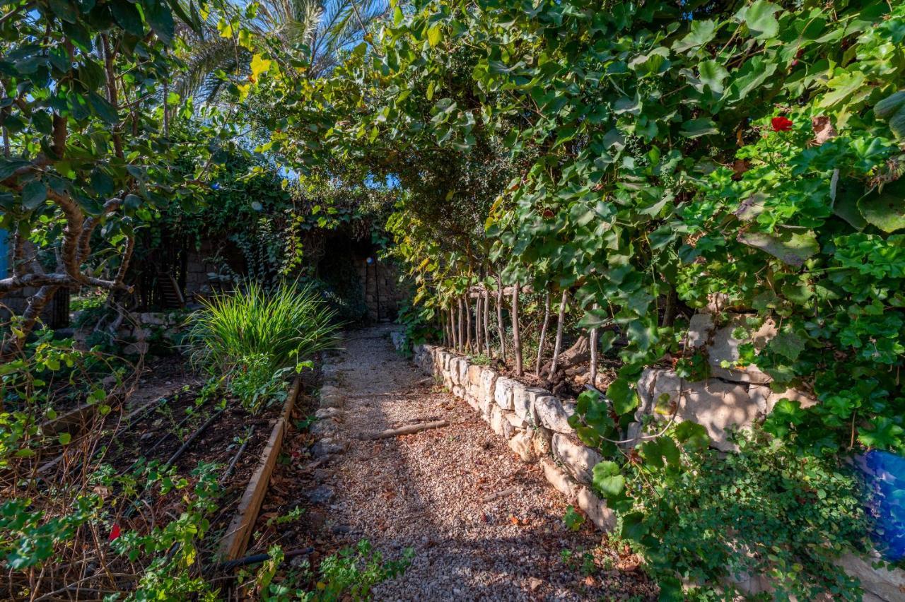 Hemdatya Stone Suites In The Galilee Ilaniya Kültér fotó
