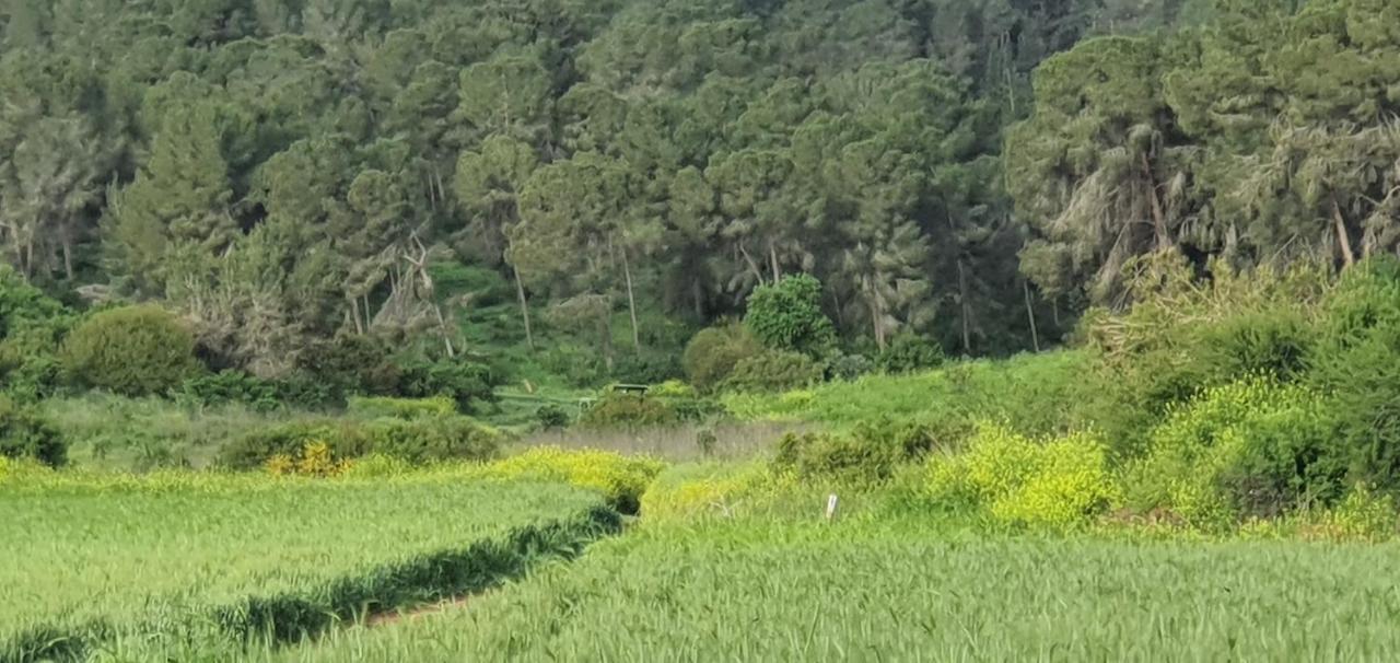 Hemdatya Stone Suites In The Galilee Ilaniya Kültér fotó